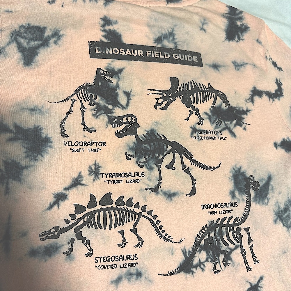Boy’s new Art Class peach & black tie-dye color dinosaur t-shirt size XXL (18)